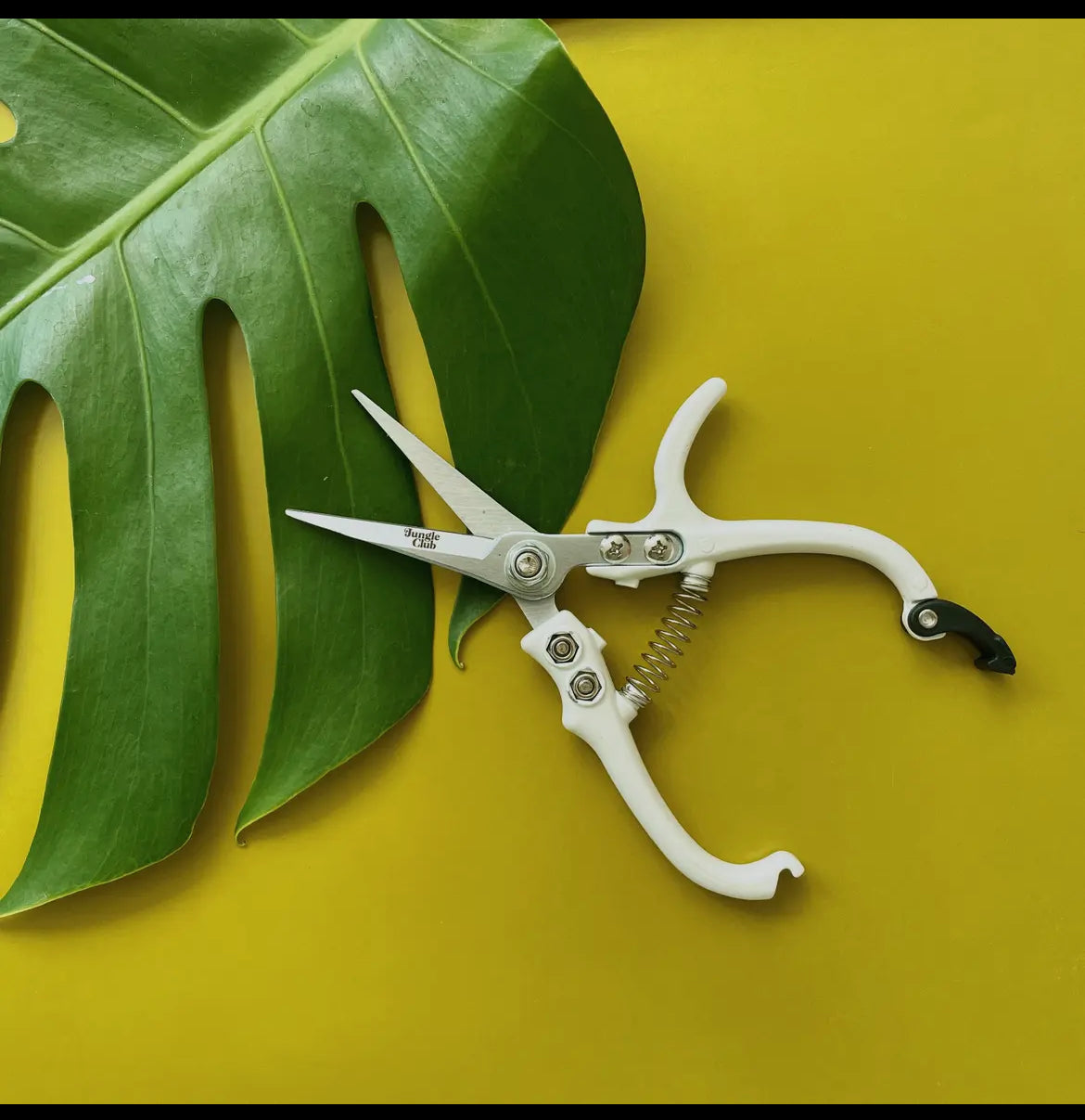 Pruning Shears|White